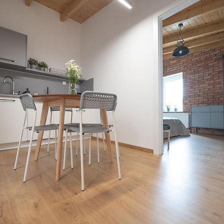 Apartamenty Mlynska 5 Bielsko-Biała Eksteriør billede