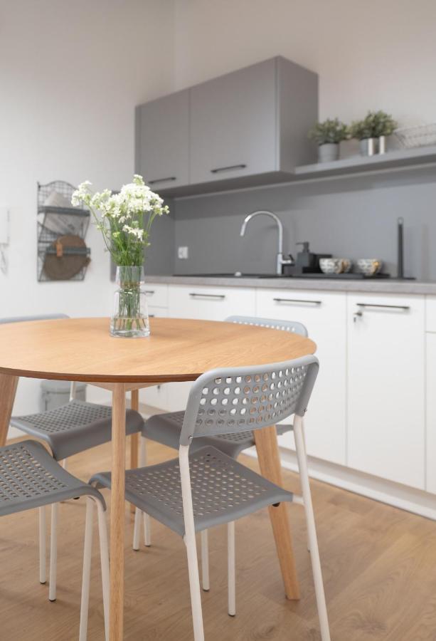 Apartamenty Mlynska 5 Bielsko-Biała Eksteriør billede