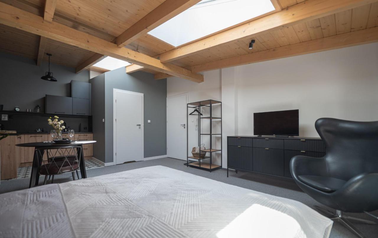 Apartamenty Mlynska 5 Bielsko-Biała Eksteriør billede
