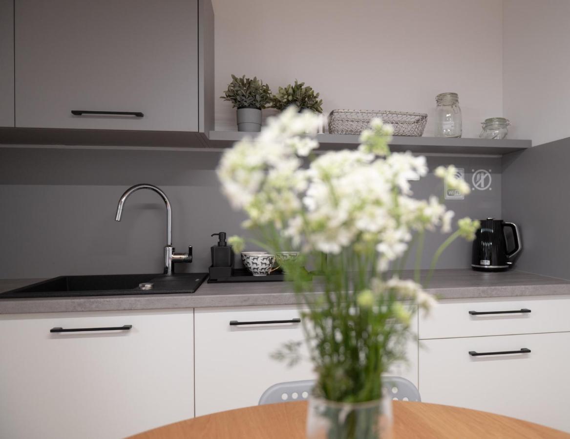 Apartamenty Mlynska 5 Bielsko-Biała Eksteriør billede