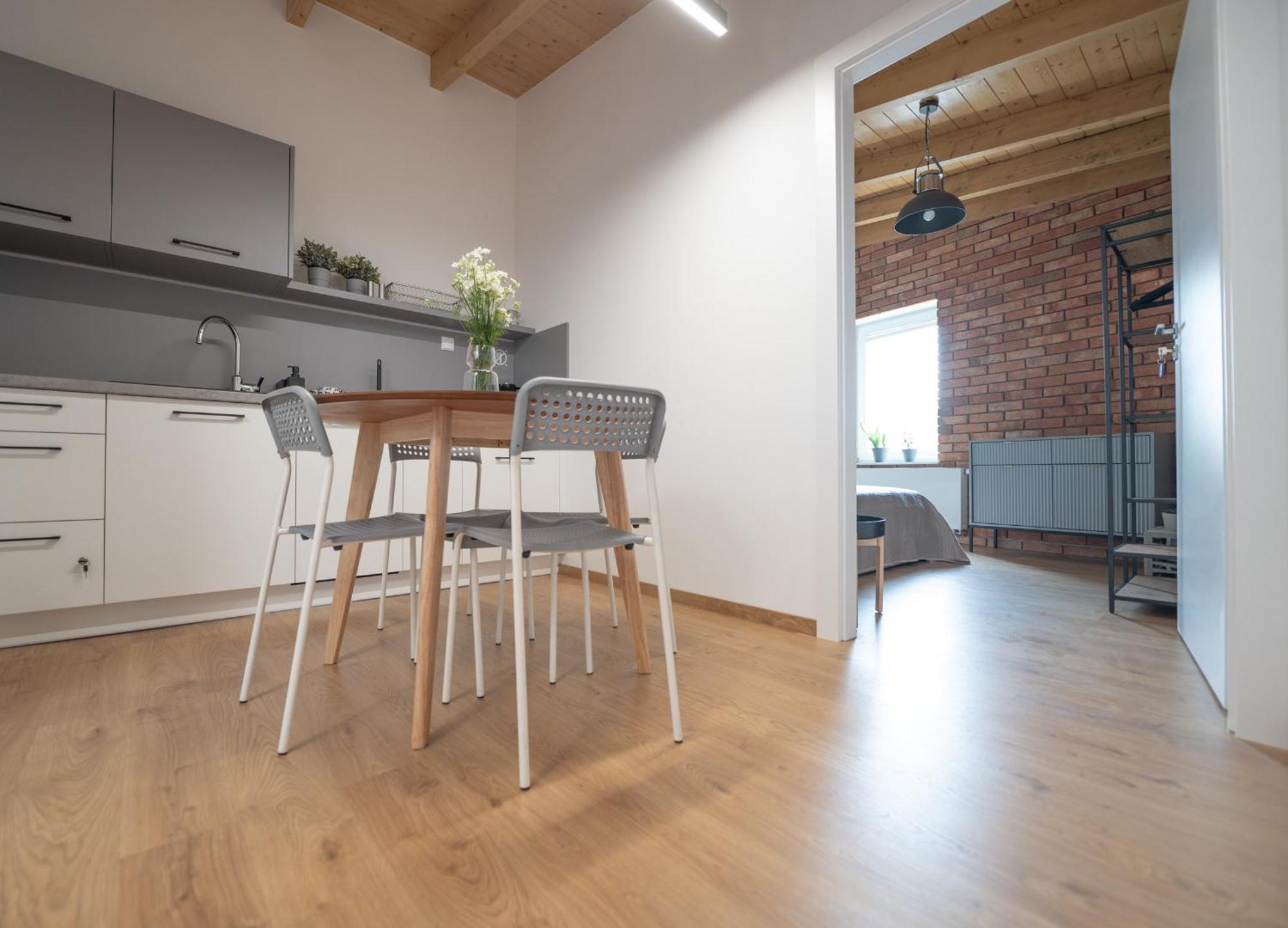 Apartamenty Mlynska 5 Bielsko-Biała Eksteriør billede
