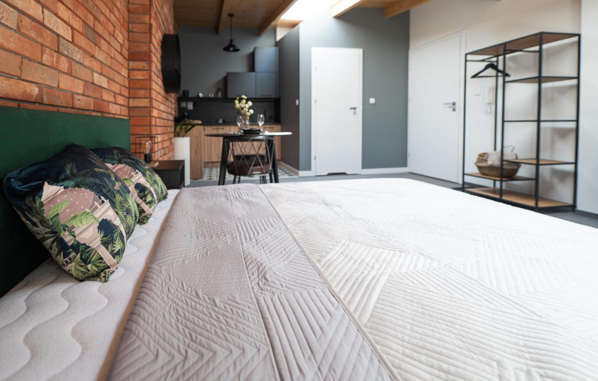 Apartamenty Mlynska 5 Bielsko-Biała Eksteriør billede