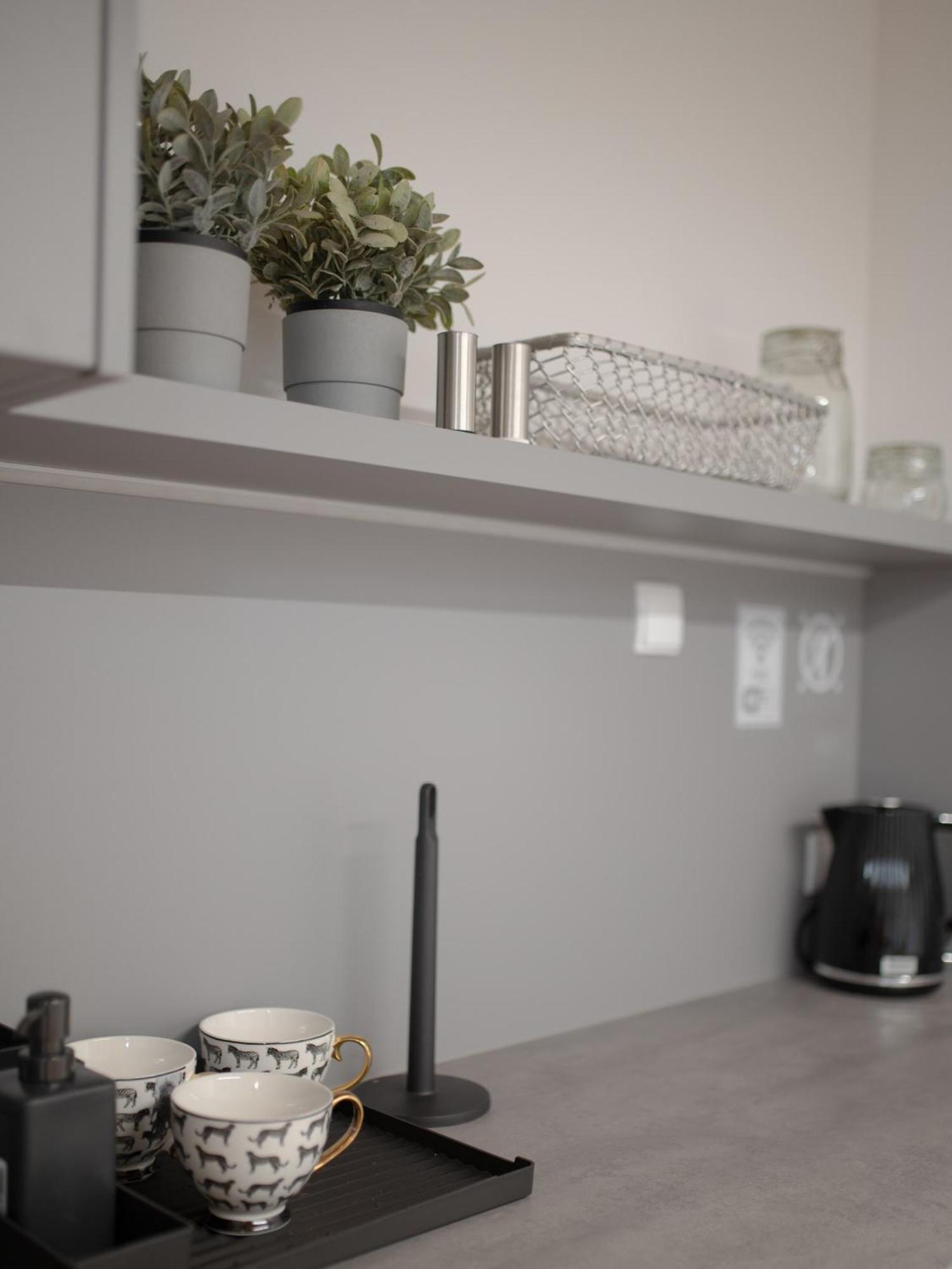 Apartamenty Mlynska 5 Bielsko-Biała Eksteriør billede